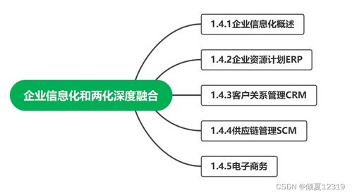系統(tǒng)集成項目管理工程師 第1章 信息化知識——企業(yè)信息化工程要點解析